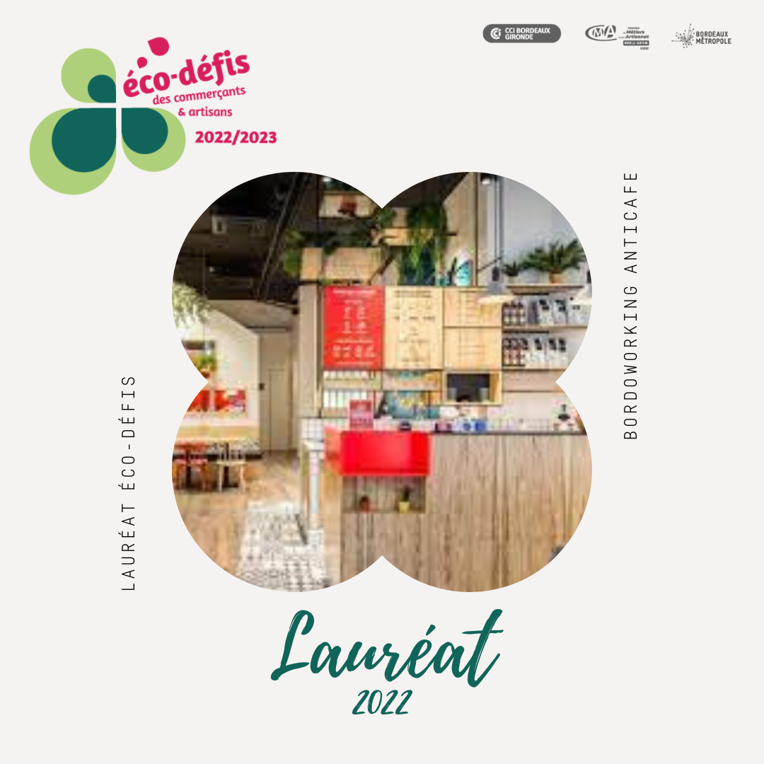 BORDOWORKING ANTICAFE