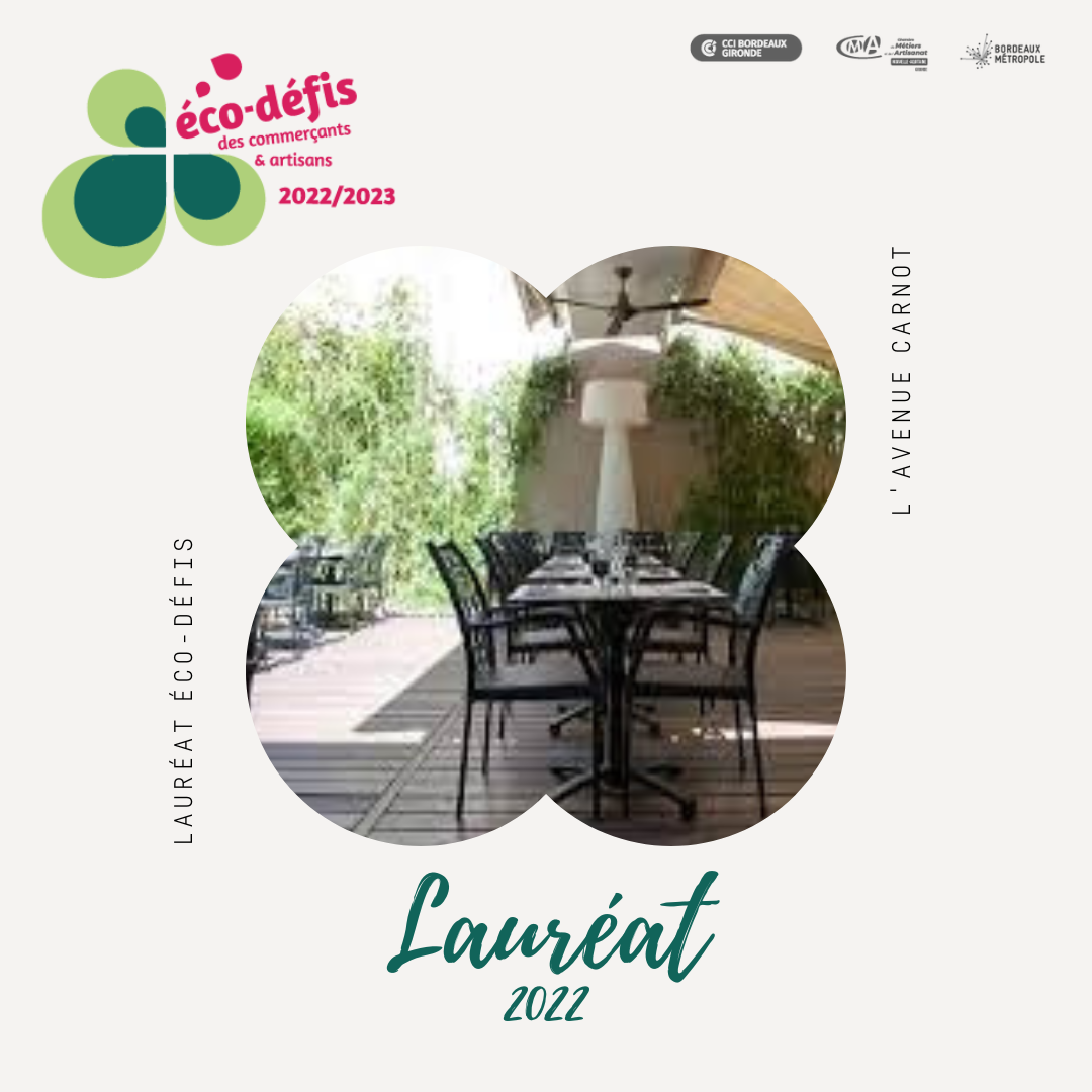 L'AVENUE CARNOT.png L'AVENUE CARNOT