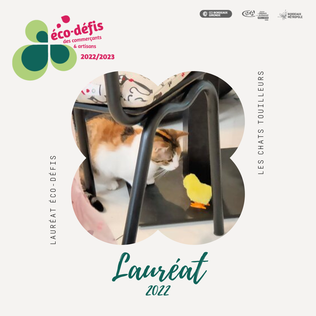 Les Chats Touilleurs